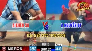 Trận 5 CPC2 Ngày 11/10/2026 Vua Gà AZ
