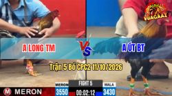 Trận 5 CPC2 Ngày 11/10/2026 trên Vua Gà AZ