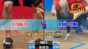 Trận 5 CPC2 Ngày 24/10/2026 Trên Vua Gà AZ