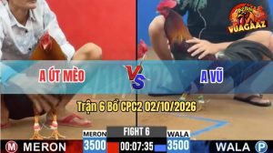 Trận 6 CPC2 02/10/2026 – Gà Điều Anh Vũ Đá Chân Nào Cũng Đâm