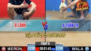 Trận 6 CPC2 03/10/2026 – Gà Xám Anh Lành Dí Bạc Ngông Và Cái Kết