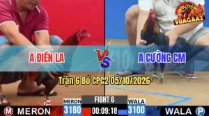 Trận 6 CPC2 05/10/2026 – Anh Điền LA Đối Đầu Với Anh Cường CM