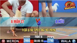 Trận 6 CPC2 06/10/2026 – Gà Anh Mận Có Chân Cựa Dứt Điểm