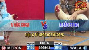 Trận 6 CPC2 07/10/2026 – Anh Bảo Sting Tiếp Tục Hạ Anh Hắc Coca