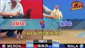 Trận 6 CPC2 08/10/2026 – Gà Anh Tý Bươi Chà Như Cái Máy