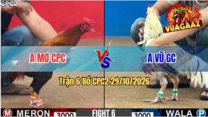 Trận 6 CPC2 29/10/2026 – Gà Điều Anh Mơ CPC Đá Đâm Như Cái Máy