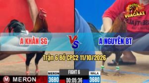 Trận 6 CPC2 Ngày 11/10/2026 trên Vua Gà AZ