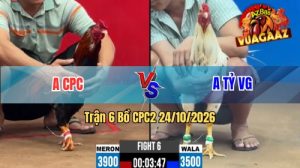 Trận 6 CPC2 Ngày 24/10/2026 Trên Vua Gà AZ