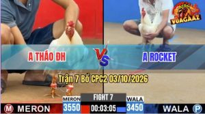 Trận 7 CPC2 03/10/2026 – Anh Tháo Đụng Độ Với Anh Rocket