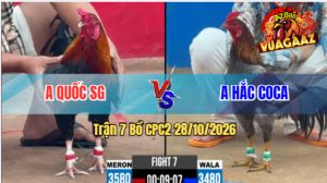 Trận 7 CPC2 28/10/2026 – Anh Quốc SG Đụng Độ Với Anh Hắc Coca
