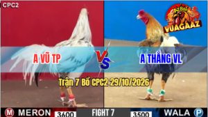 Trận 7 CPC2 29/10/2026 – Gà Bướm Anh Vũ Nạp Đòn Cựa Quá Khủng