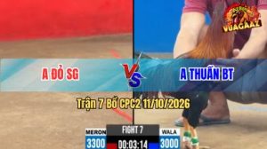 Trận 7 CPC2 Ngày 11/10/2026 trên Vua Gà AZ