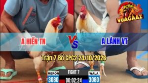 Trận 7 CPC2 Ngày 24/10/2026 Trên Vua Gà AZ