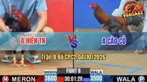 Trận 8 CPC2 04/10/2026 – Anh Cào Cỏ Đụng Độ Với Anh Hiền TN