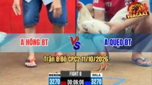 Trận 8 CPC2 Ngày 11/10/2026 Vua Gà AZ