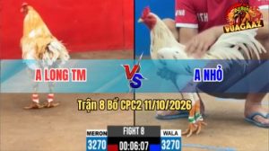 Trận 8 CPC2 Ngày 11/10/2026 trên Vua Gà AZ