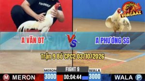 Trận 9 CPC2 03/10/2026 – Gà Anh Phương Canh Chặn Quá Khéo