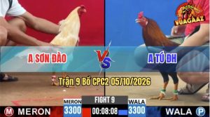 Trận 9 CPC2 05/10/2026 – Anh Sơn Đào Dí Bạc Anh Tú Và Cái Kết