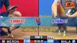 Trận 9 CPC2 09/10/2026 – Anh Minh Dí Bạc Anh Thắng Và Cái Kết