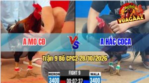 Trận 9 CPC2 28/10/2026 – Anh Hắc Coca Làm Thịt Anh Mo CĐ