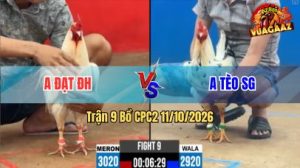 Trận 9 CPC2 Ngày 11/10/2026 trên Vua Gà AZ